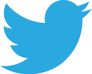 Twitter_logo_2012-500px