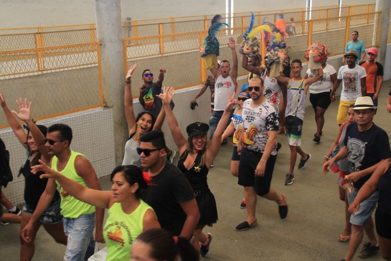 Leia mais sobre o artigo Metrô Recife reforça viagens para levar foliões ao Galo da Madrugada