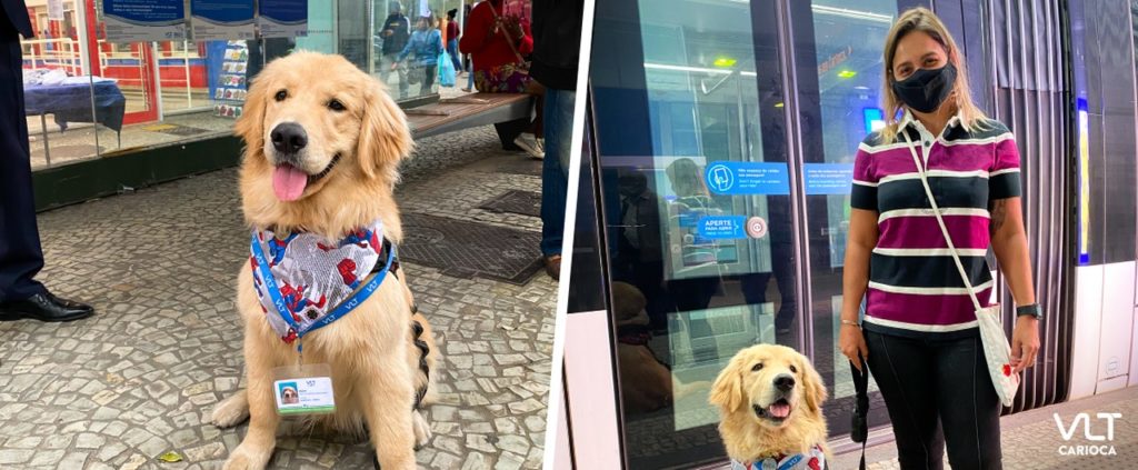 Leia mais sobre o artigo Suporte emocional e transporte de animais no VLT Carioca