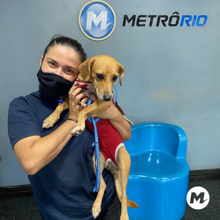 Leia mais sobre o artigo No Dia Nacional do Animal, MetrôRio mostra a história da cadela Aysha, que mudou a vida de colaboradora da empresa