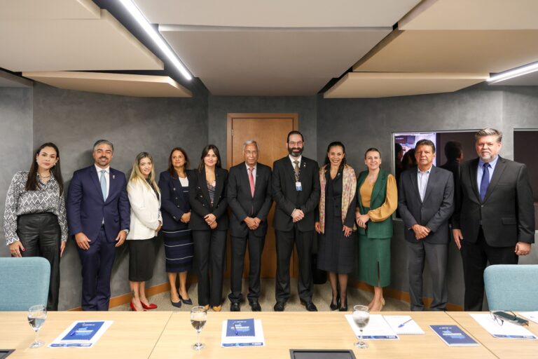 Leia mais sobre o artigo Reunião da Seção IV do Transporte Ferroviário discute diretrizes para o desenvolvimento do setor no Brasil